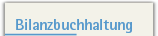 Bilanzbuchhaltung