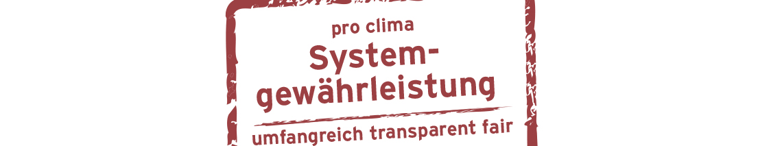 Systemgewährleistung